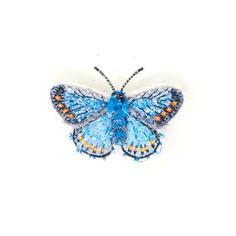 Adonis Blue Butterfly Brooch by Trovelore