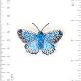 Adonis Blue Butterfly Brooch by Trovelore