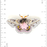 Pink Eyed Silk Moth Brooch by Trovelore