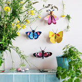 Studio Roof 3D Wall Insects: Butterfly