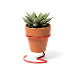 Terra-cotta Pot with Wire Plant Holder
